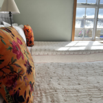 Twin guest room showing sunny view from window. Both twin beds are in view covered in pale floral bedding and bright orange floral scatter cushions